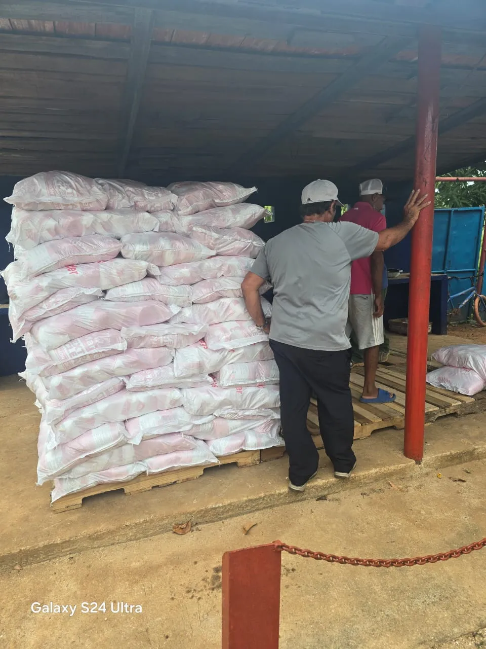 Palletised cargo ready to ship
