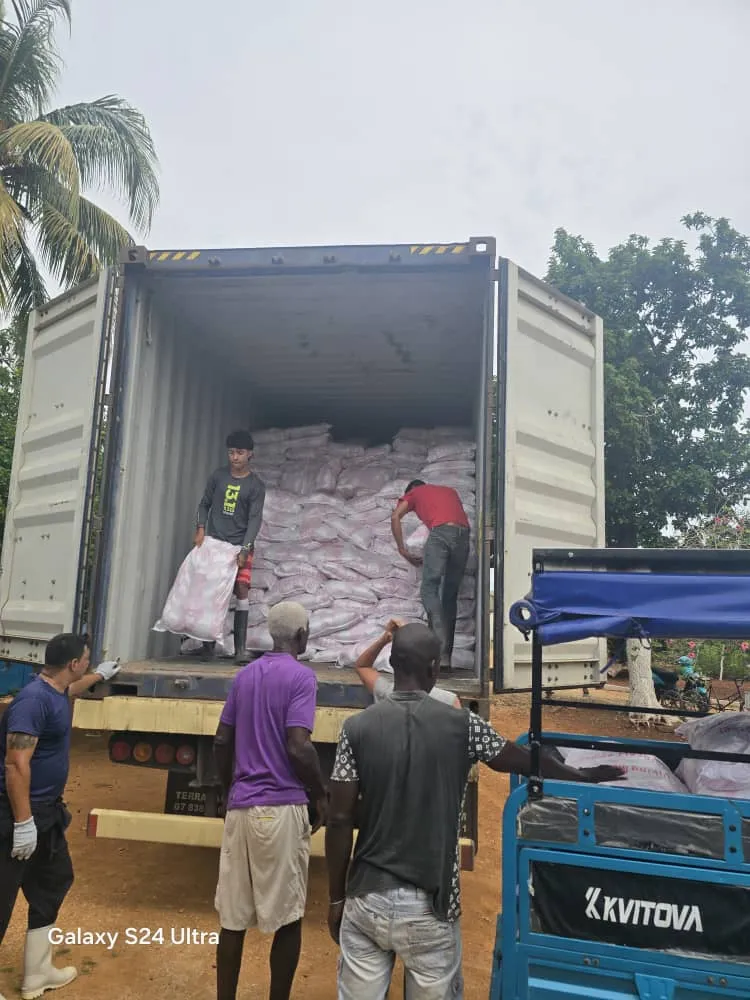 Container stuffing in progress