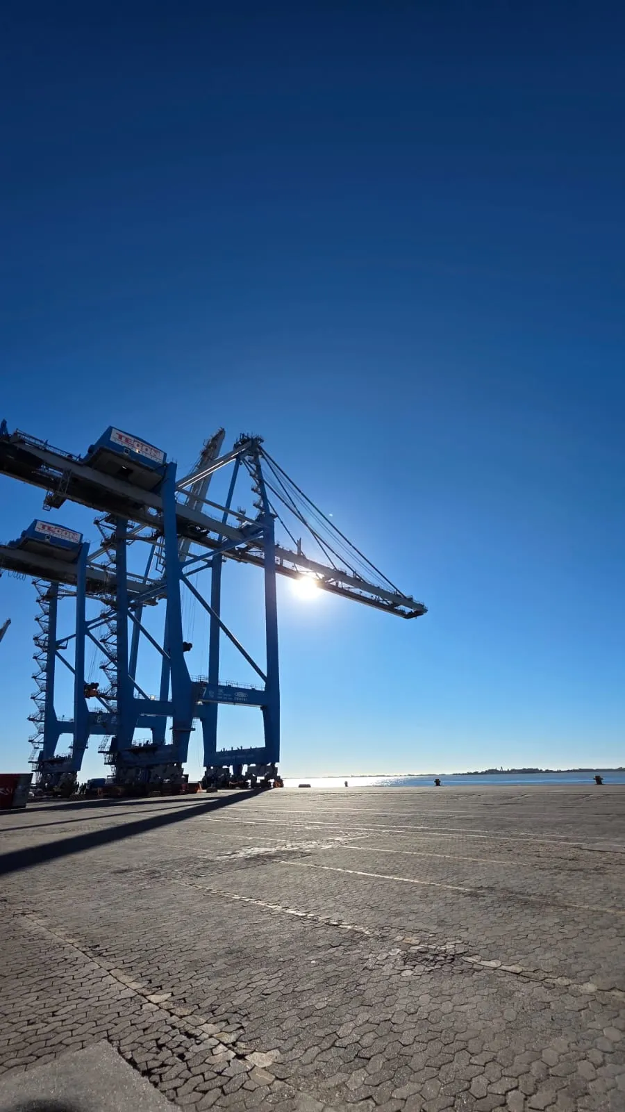 Ship-to-shore cranes at the terminal