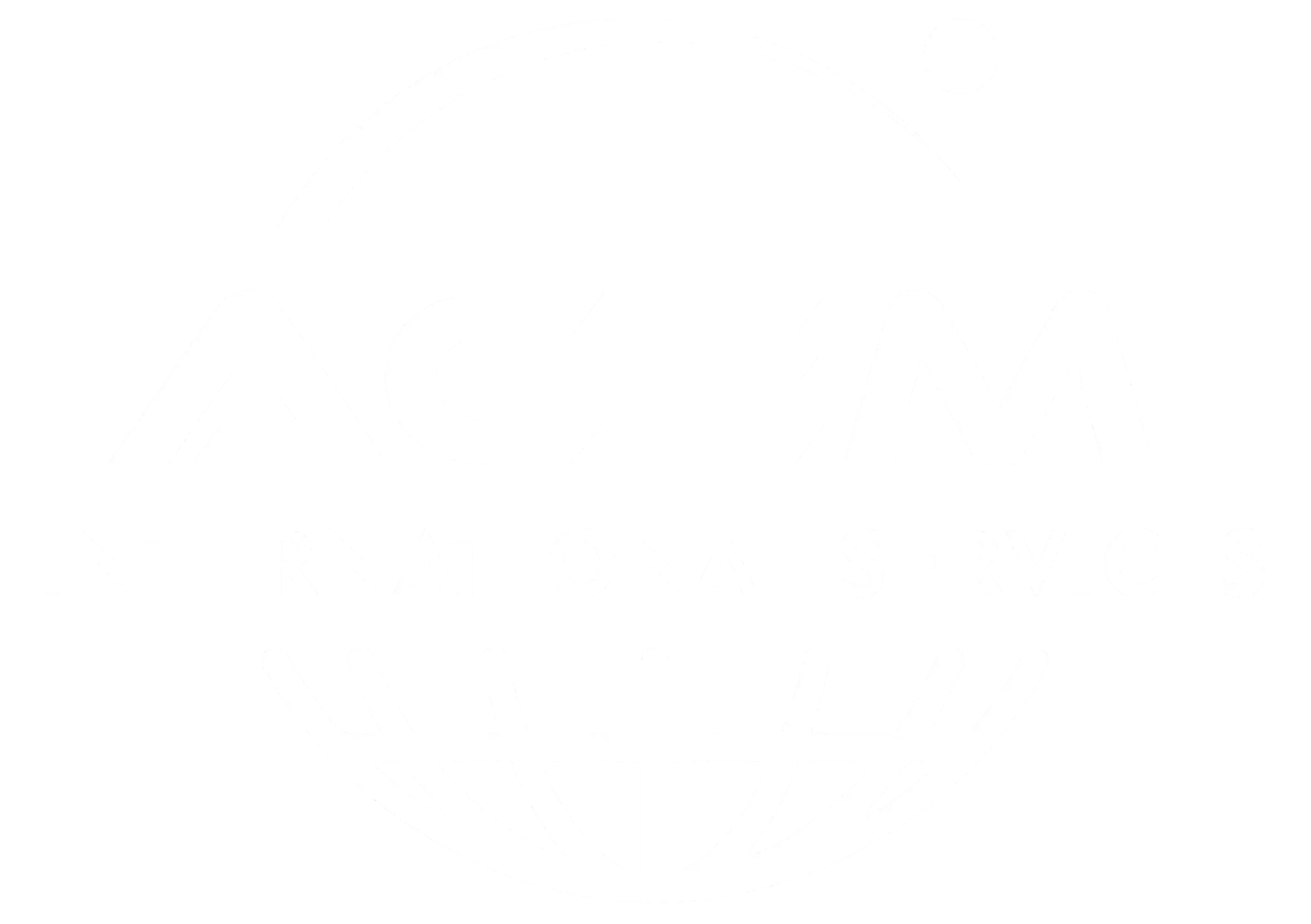ACEM International Services